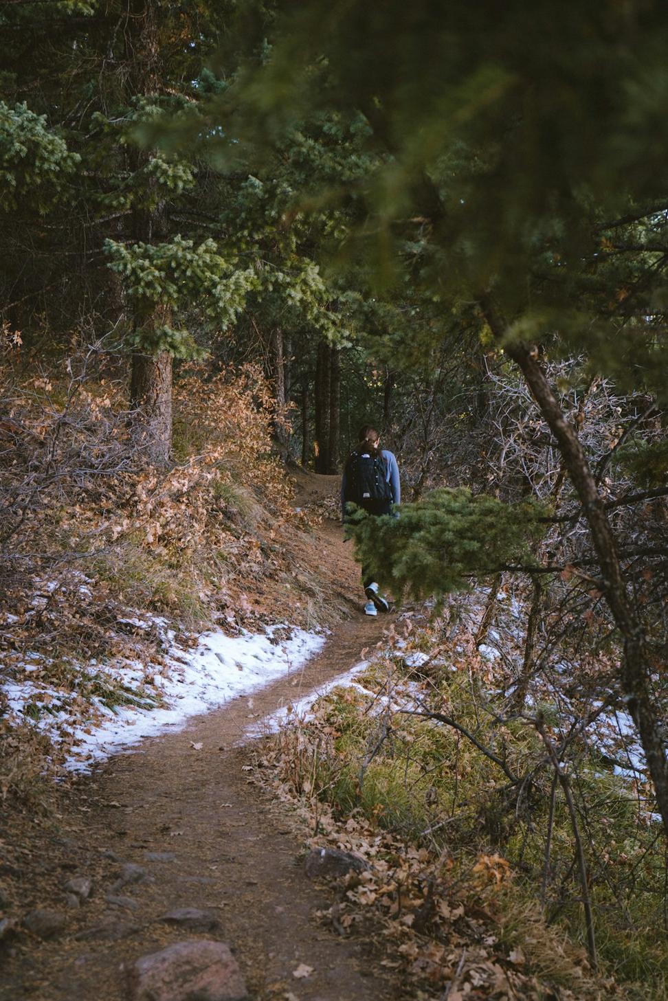 Alpine Endurance Training